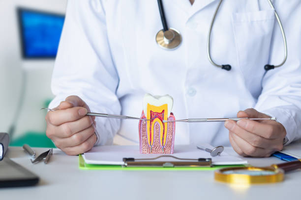 Best Emergency Treatment for Dental Infections or Abscesses in Yucos, CA